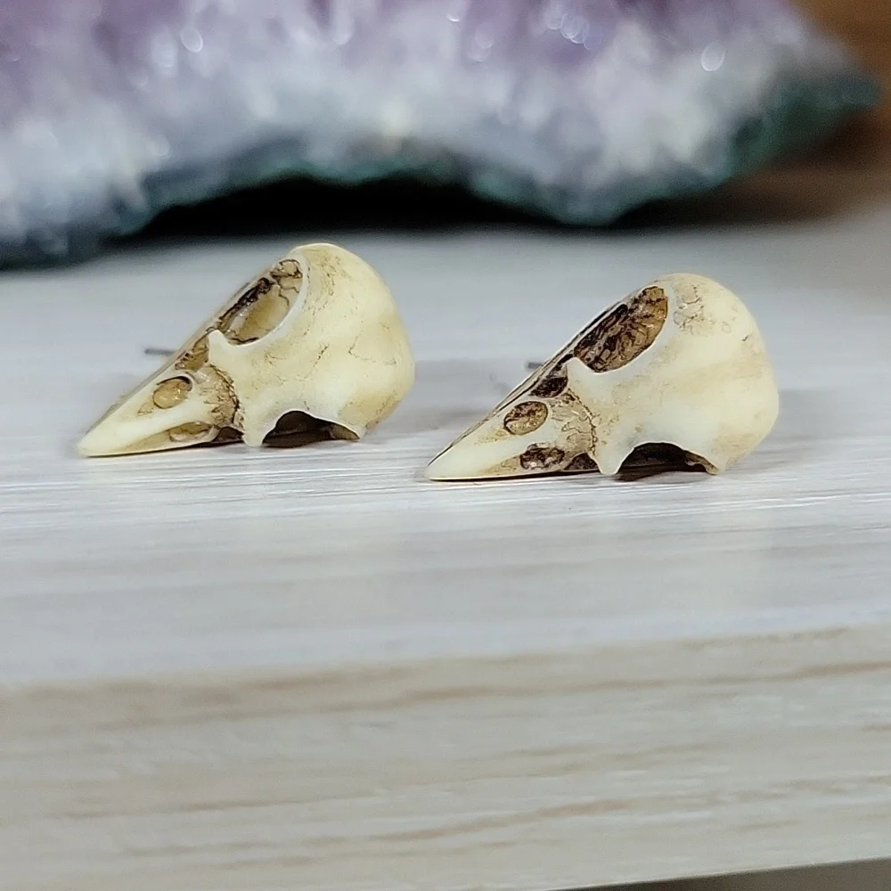 🔥LAST PAIR🔥 Realistic Poe Macabre Bird Skull Stud Earrings